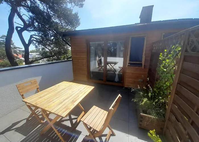 Lewada Z Tarasem * Władysławowo